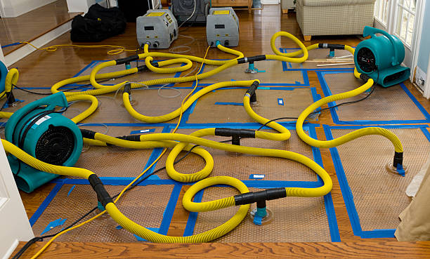 Professional Water Extraction technician working in Papillion, NE
